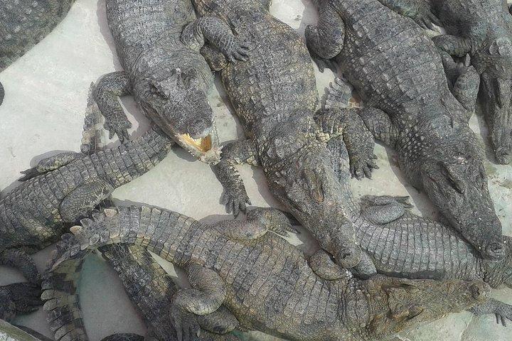 War Museum, Killing Field and Floating village ( Chong Kneas) Tour