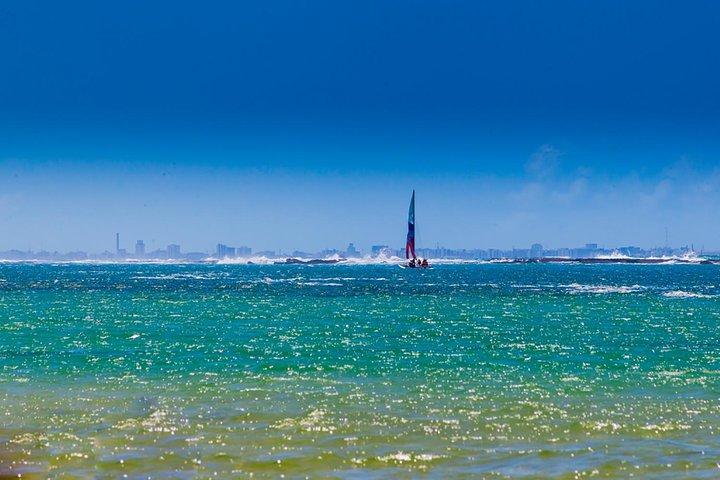 South Coast Frances Beach with Maceió City Tour