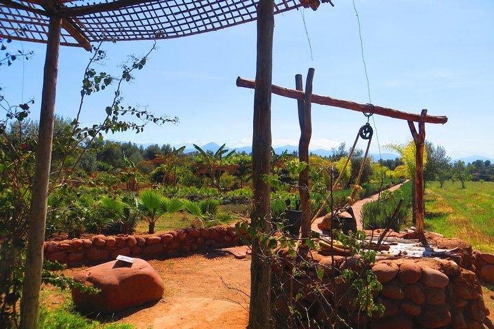 Private day trip from Marrakech to Ourika Valley with Setti Fatma Waterfalls