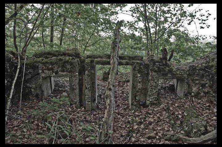 World War I Tour of Northern France; the Argonne Forest