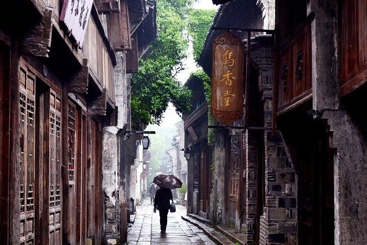 Wuzhen and Xitang Water Town Private Full Day Trip from Shanghai with Lunch and Dinner