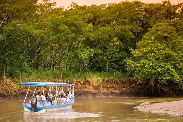 Palo Verde Wildlife Tour from Playa Hermosa-Coco Beach