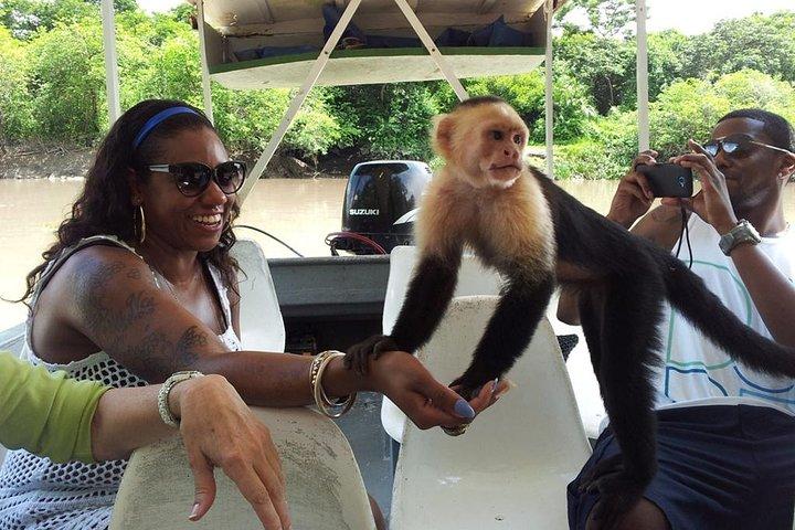 Palo Verde Wildlife Tour from Playa Hermosa-Coco Beach