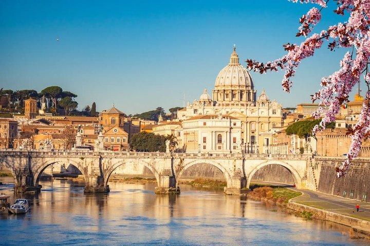 Flexible Private Tour of Rome with English Speaking Driver