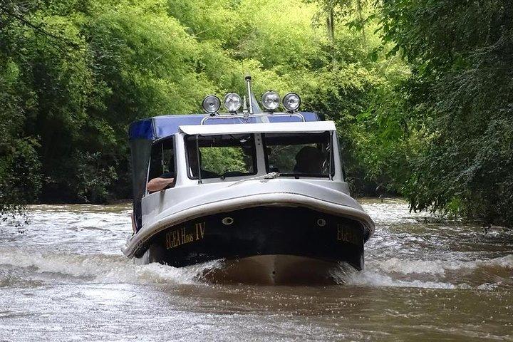 Private Boat TripTour to Tigre Delta