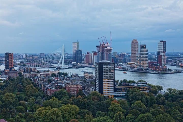 Tour in Spanish to Rotterdam and The Hague