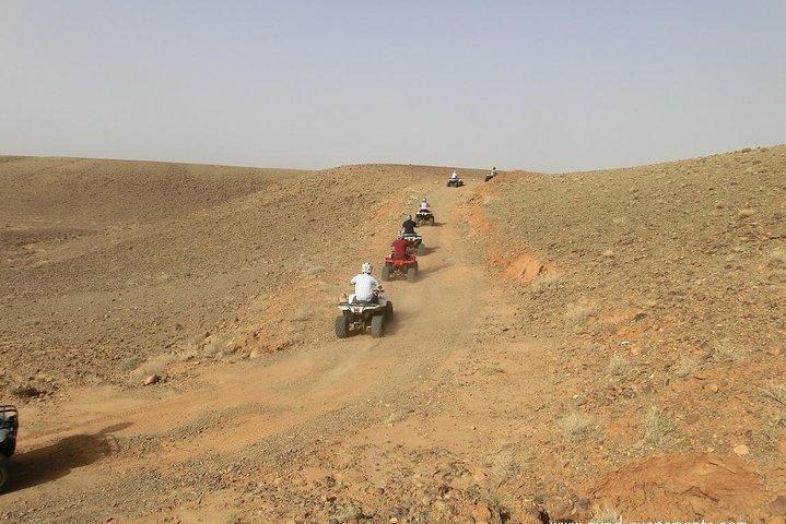 Activity: Half Day Quad Bike in Marrakech Palm Groves
