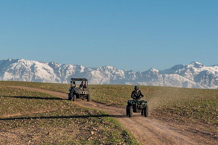 Activity: Half Day Quad Bike in Marrakech Palm Groves