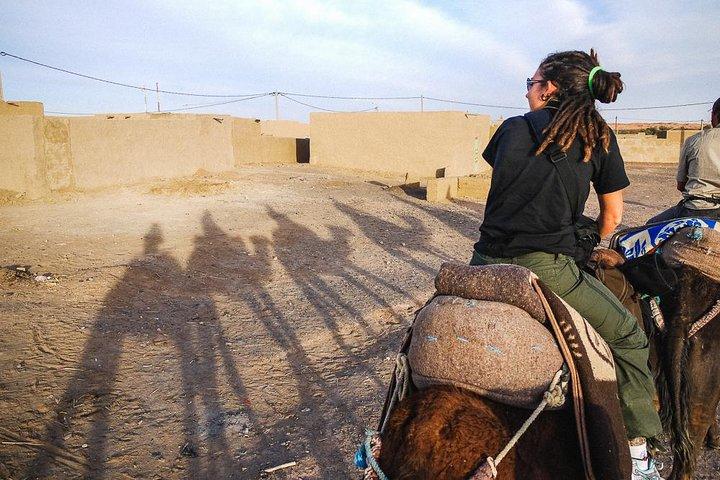 Tour: 2 Days Tour From Marrakech To Draa Valley and Kasbahs