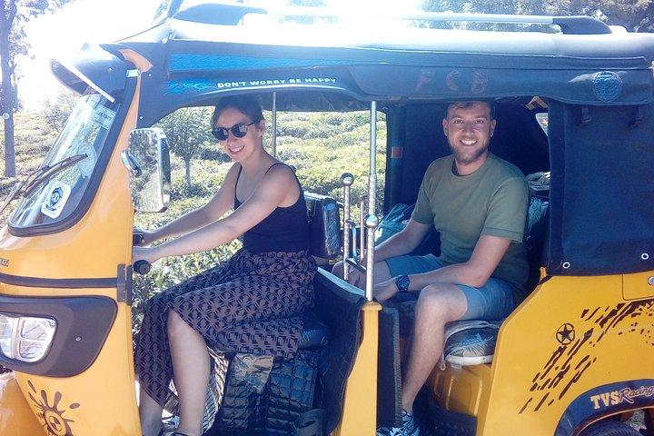 Tuk Tuk safari and Picnic in The Tea Plantation from Ella,Haputale & Bandarawela