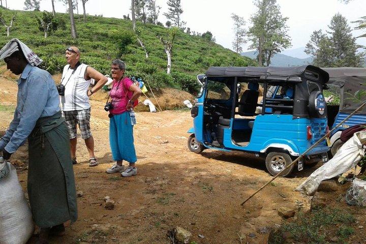 TukTuk Safari in Tea & Spice plantation,View Points,Upper Diyaluma WaterFalls,