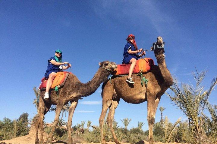 Camel Ride in the Palmeraie of Marrakech