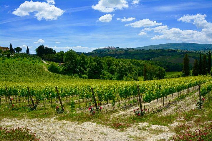Private Tuscany Day Tour: San Gimignano and Chianti Wine Region from Florence