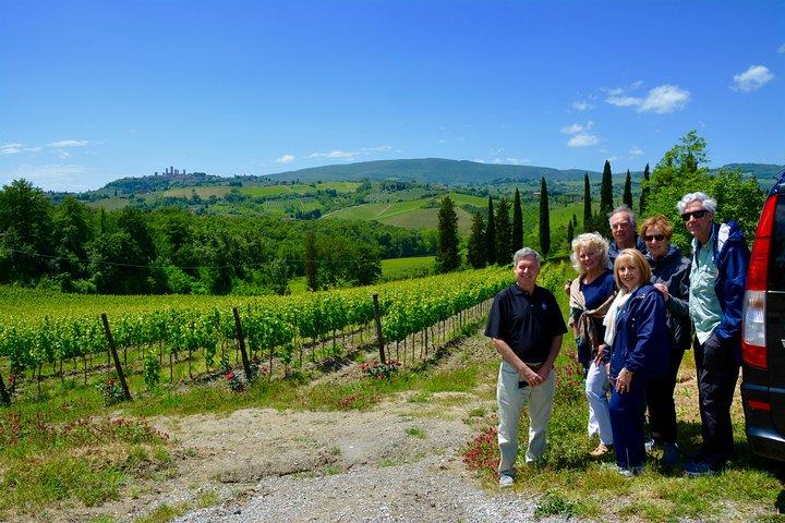 Private Tour: Chianti Region Tour by Minivan