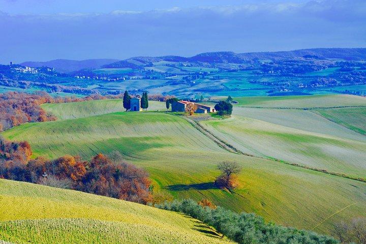 Private Tour: Orcia Valley to Montalcino and Montepulciano with Brunello Wine Tasting
