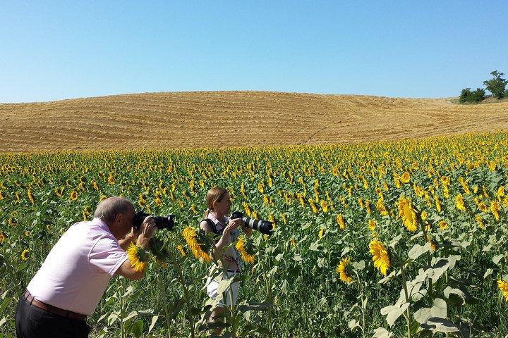 Private Tour: Orcia Valley to Montalcino and Montepulciano with Brunello Wine Tasting
