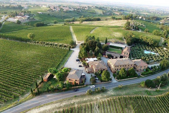 Private Tuscany Wine Tour: Montepulciano and Siena from Florence