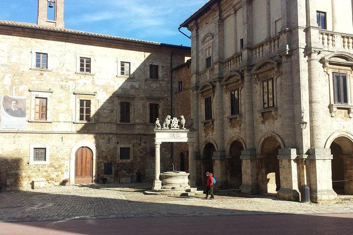 Private Tuscany Wine Tour: Montepulciano and Siena from Florence