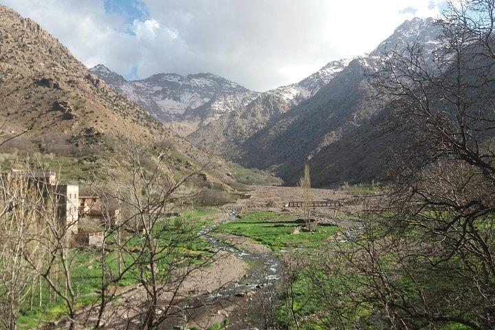 Marrakech To Atlas Mounatains Morocco 1 Day
