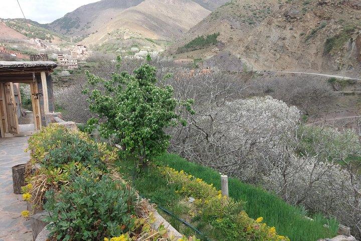 Marrakech To Atlas Mounatains Morocco 1 Day