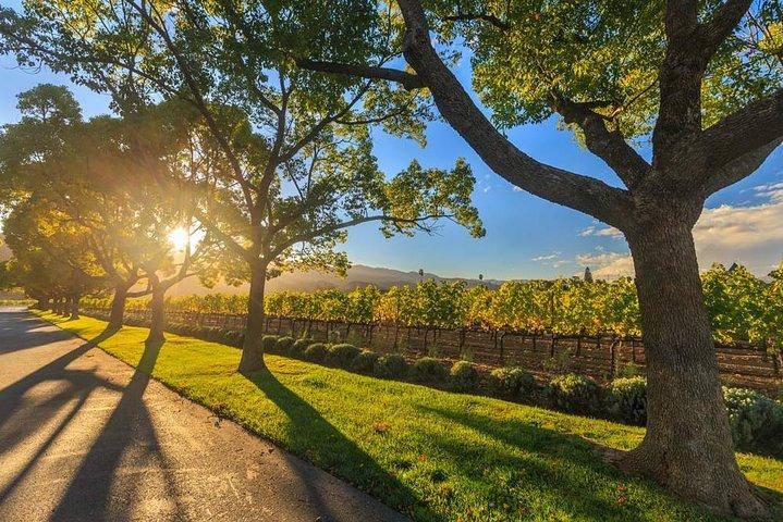 VIP Swan Valley Wine Tour - Premium Small Group Wine & Gourmet Experience