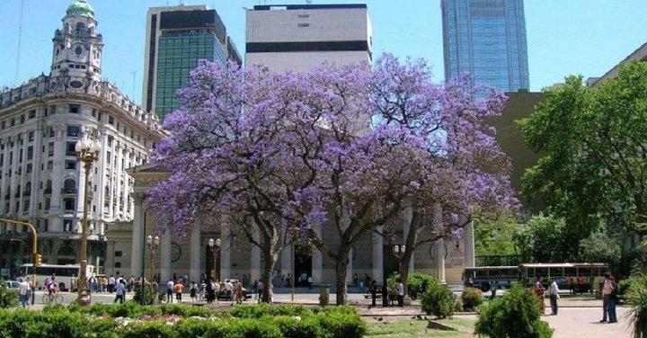 Private Buenos Aires City Tour from Cruise Terminal