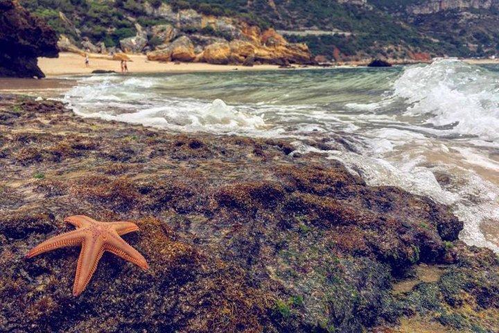 Arrábida Jeep Tour – Incredible Market & Hidden Gems
