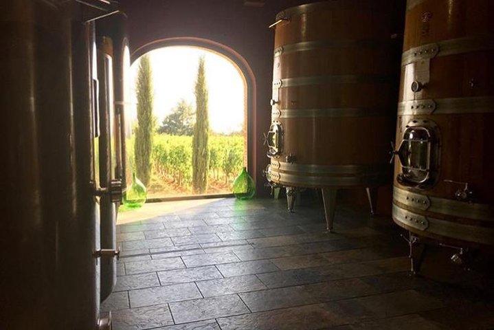 Day trip Brunello wine tours from Florence
