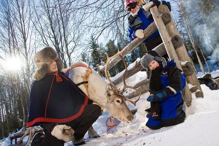 Arctic Delight - Santa's Village, snowmobiling and reindeer farm