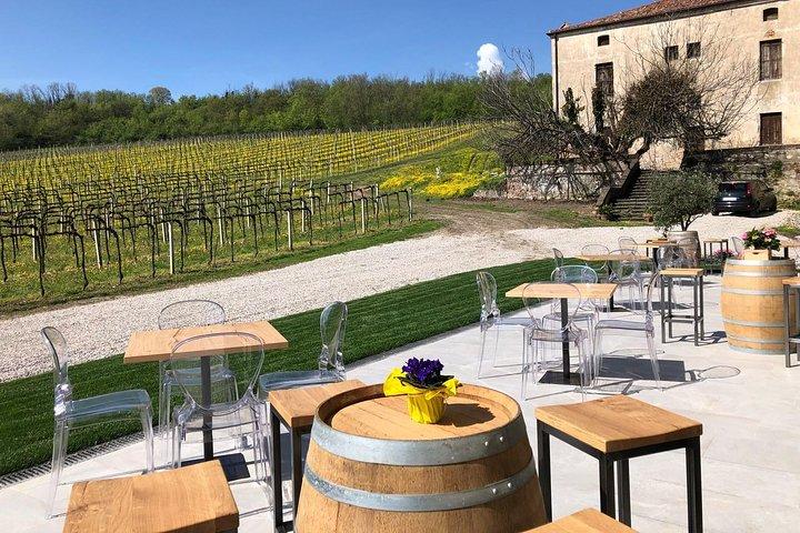 Euganean Hills Wine Tour