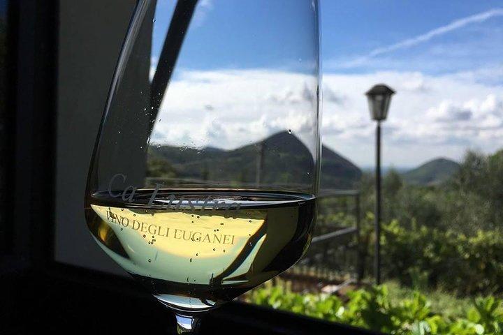 Euganean Hills Wine Tour