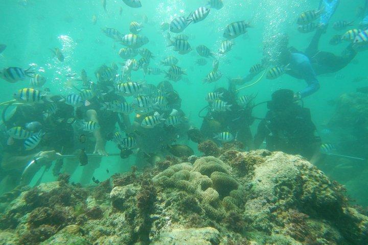 Bali Beaches Hopping - Uluwatu Temple