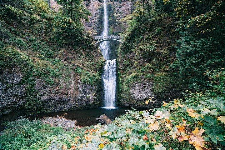 Mt Hood, Waterfalls, and Wine Tour