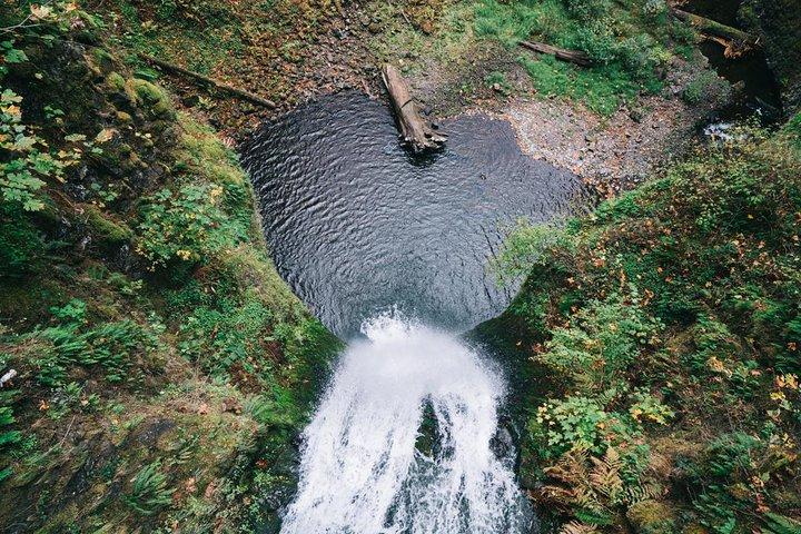 Afternoon Half-Day Multnomah Falls and Columbia River Gorge Waterfalls Tour from Portland