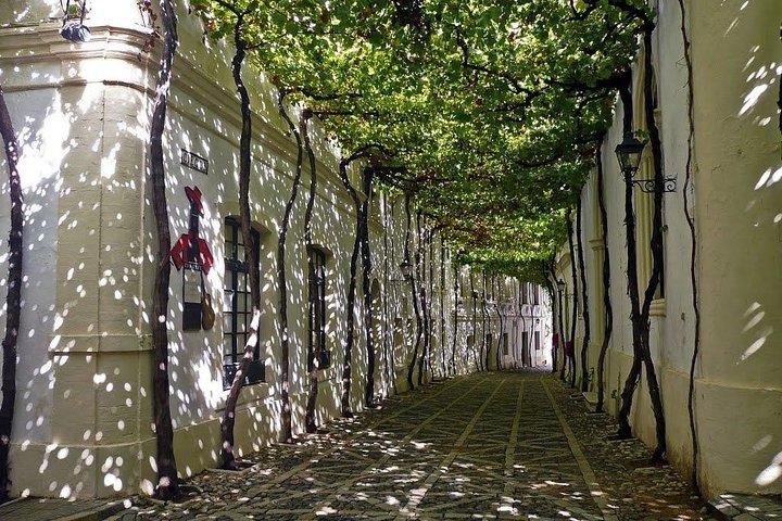 Cadiz and Jerez Day Trip from Seville