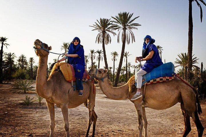 Dromedary ride in La Palmeraie
