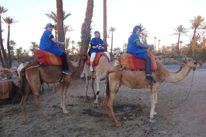 Dromedary ride in La Palmeraie