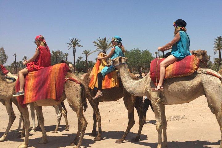 Dromedary ride in La Palmeraie
