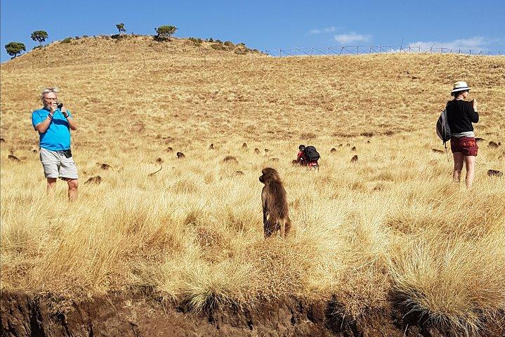 Debre Libanos Monastery and Jemma River Gorge - Day Tour from Addis Ababa