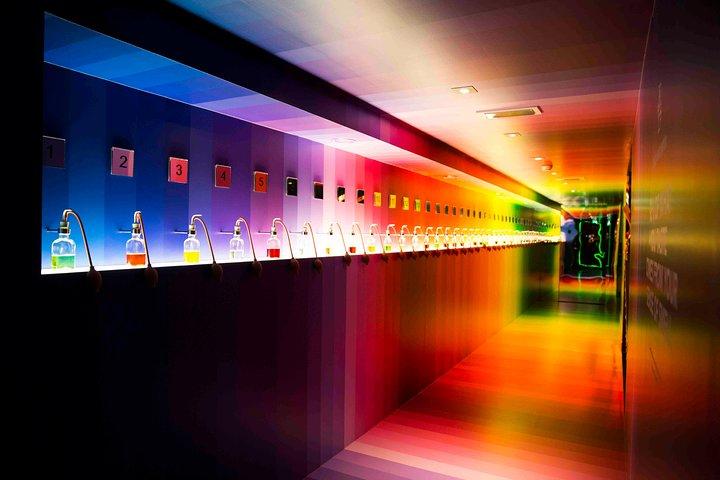 Amsterdam Bols Cocktail Experience and Cocktail Workshop