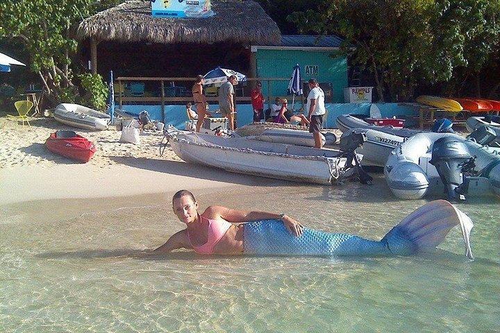Snorkel & Swim with Turtles. Semi Private Tour to Buck Island & Honeymoon Beach