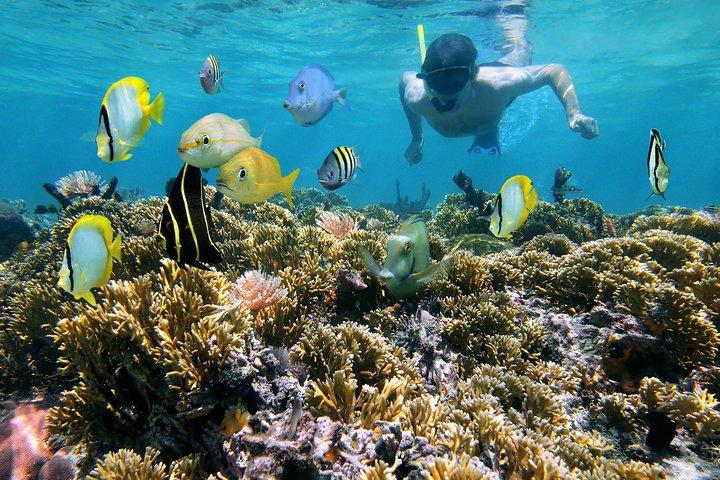 St Thomas~St John Snorkel, Swim & Beach Trip on MV Island Flyer