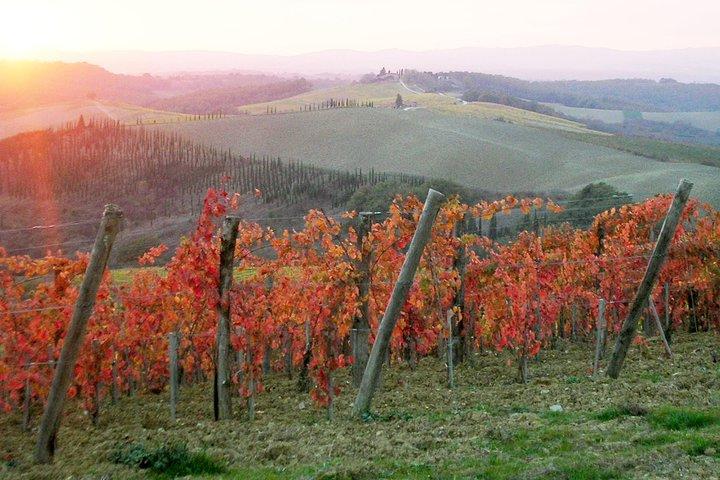 Small-Group Chianti and San Gimignano Sunset Trip from Siena