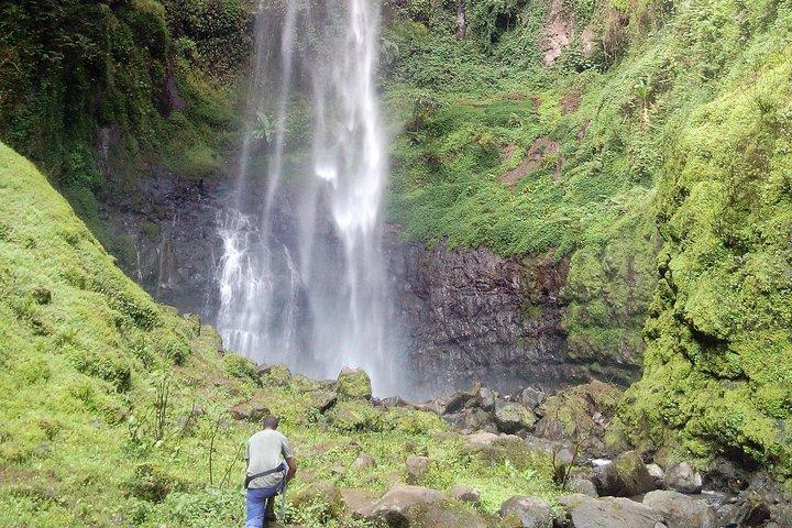 1 Day Kilimanjaro forest (mambori waterfalls).