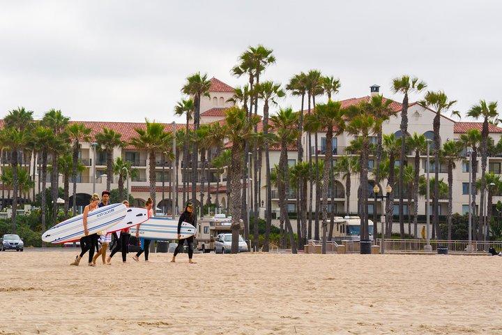 Whale-Watching and Orange County Beaches Tour from Anaheim