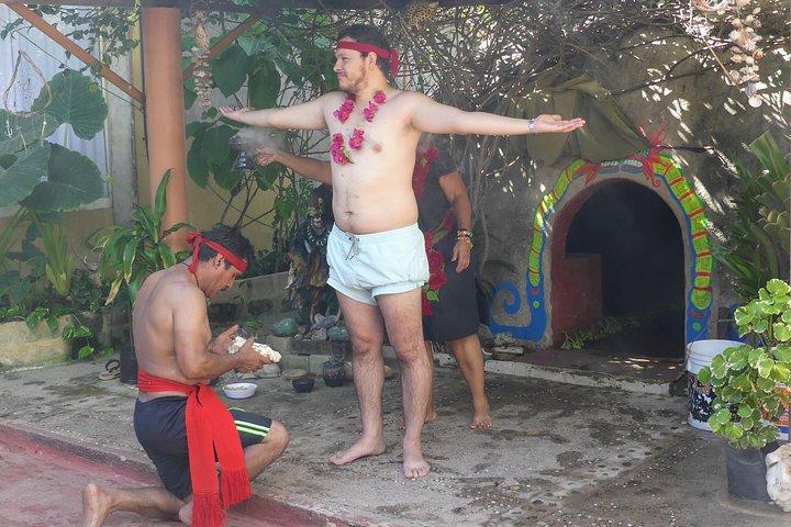 Aztec Temazcal Experience & Jungle Coyuca Lagoon &Turtle Release
