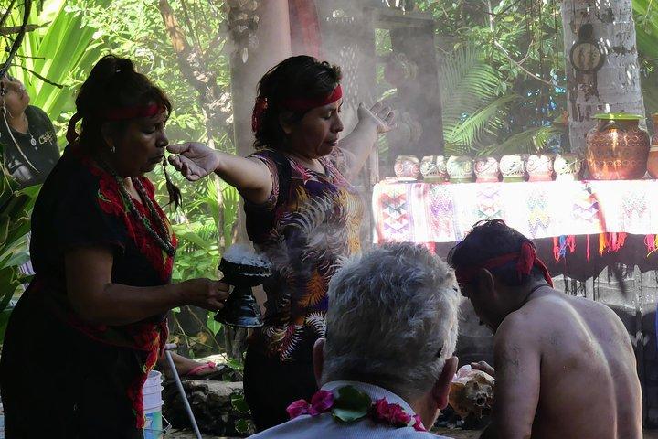 Aztec Temazcal Experience & Jungle Coyuca Lagoon &Turtle Release