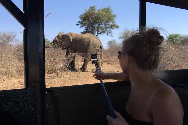 Private Full Day Safari l Kruger National Park from Hazyview or Skukuza