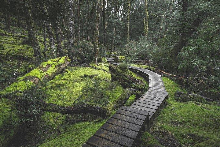 Cradle Mountain - Hobart to Launceston Day Tour
