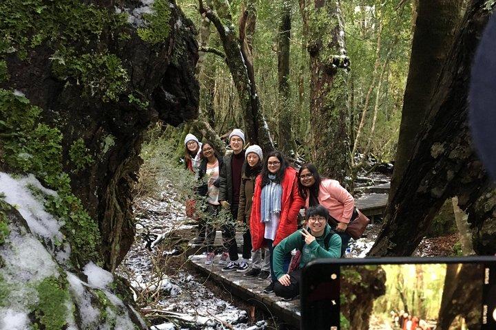 Cradle Mountain - Hobart to Launceston Day Tour